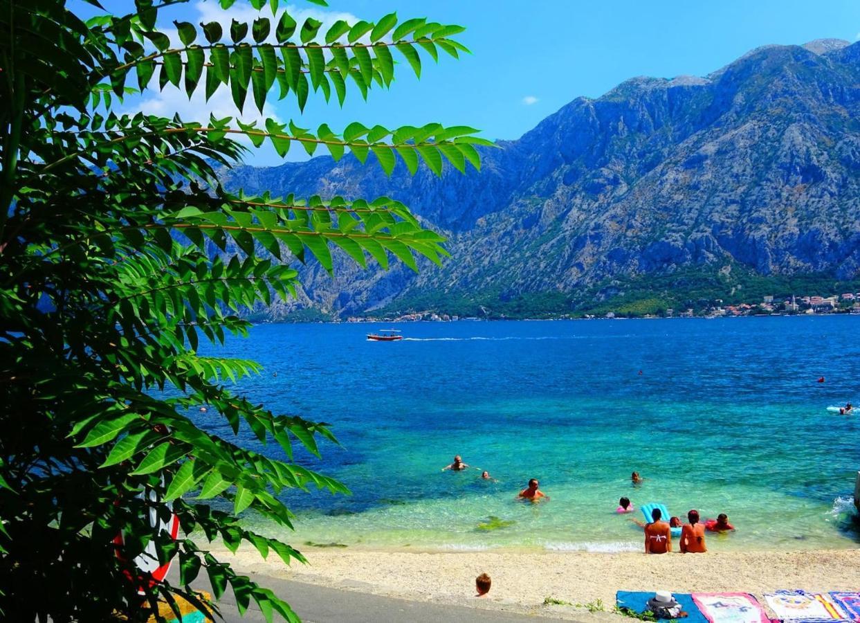 Bay Of Kotor View Apartment With Pool Prčanj Exterior foto